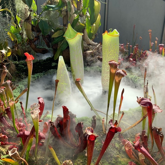 Meet your Posher, Gerry - Picture 7 of 8